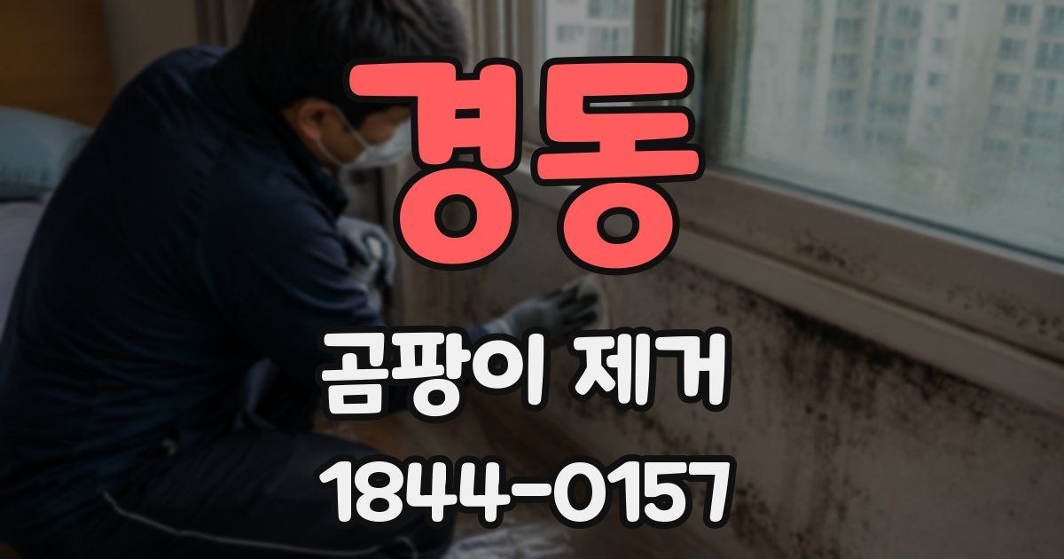 경동 곰팡이 제거