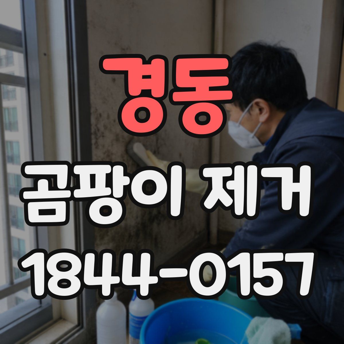 경동 곰팡이 제거