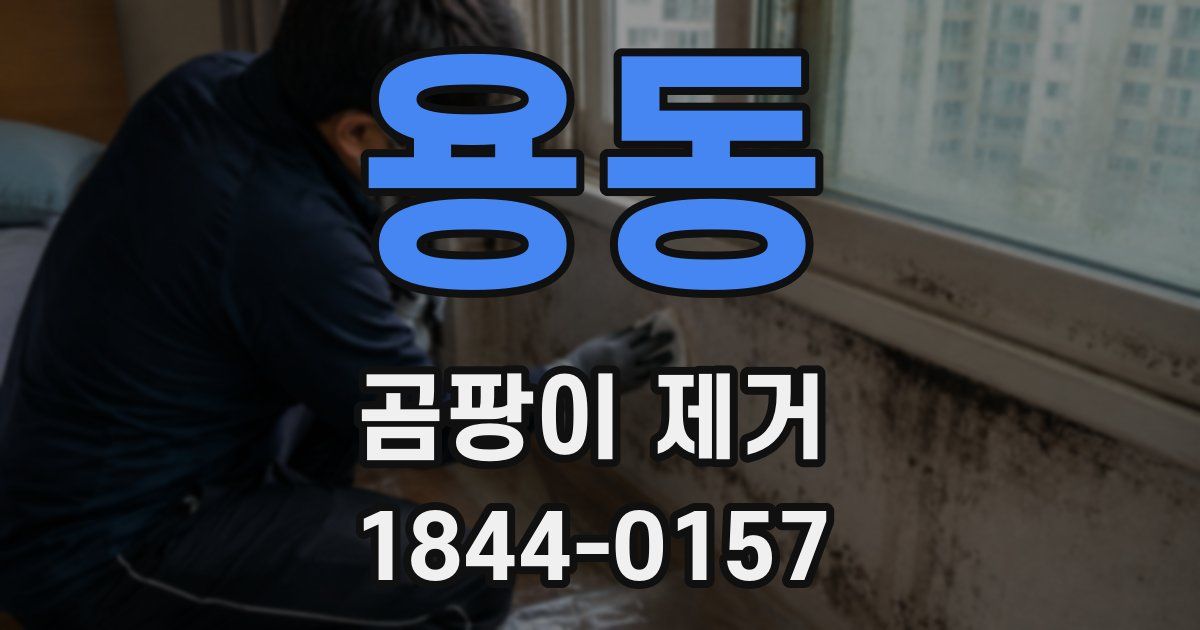 용동 곰팡이 제거
