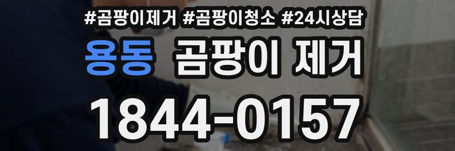 용동 곰팡이 제거