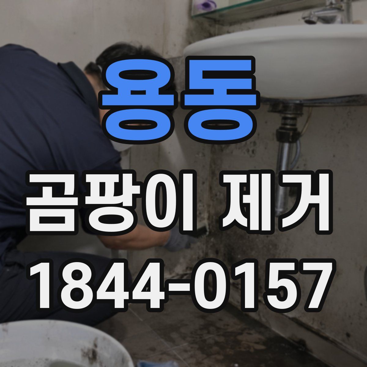 용동 곰팡이 제거
