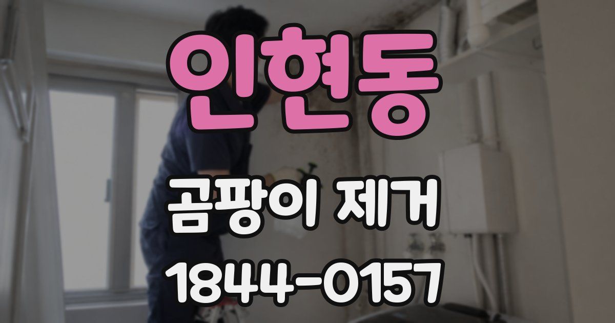 인현동 곰팡이 제거