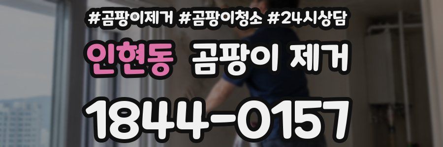 인현동 곰팡이 제거