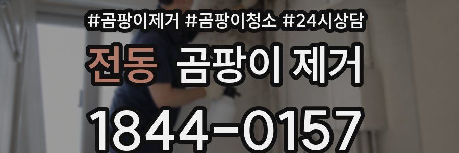 전동 곰팡이 제거