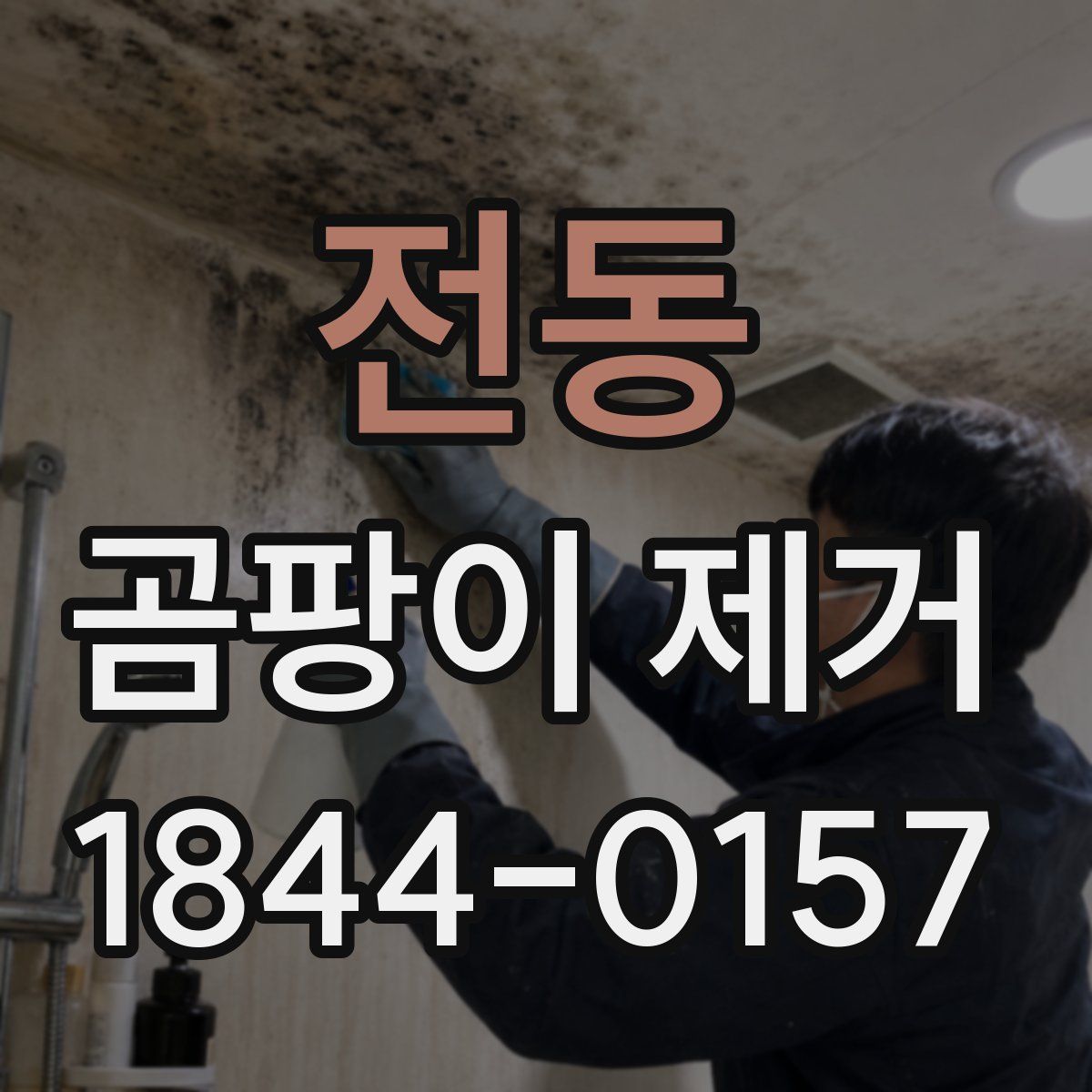 전동 곰팡이 제거