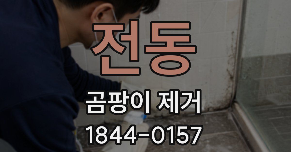 전동 곰팡이 제거