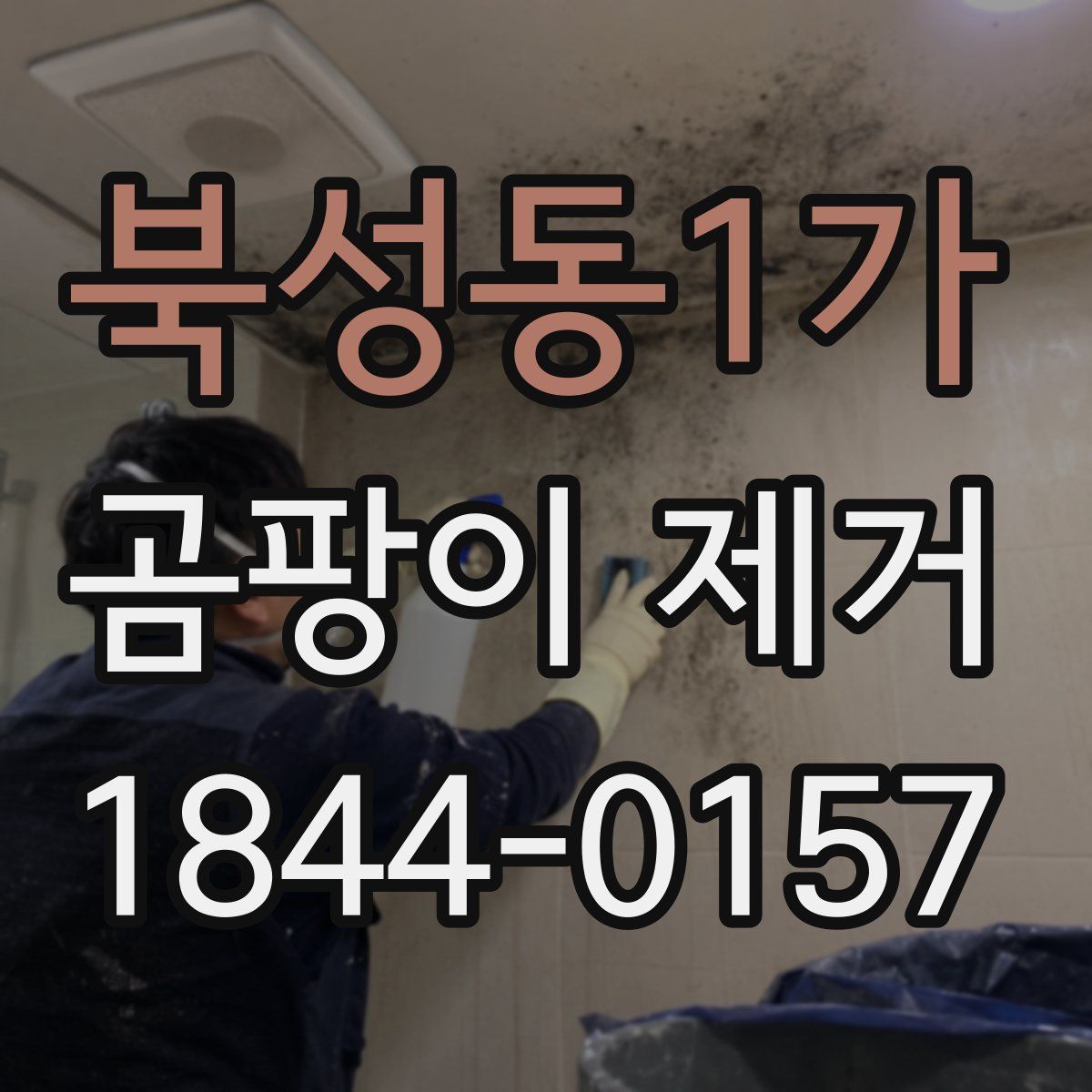 북성동1가 곰팡이 제거