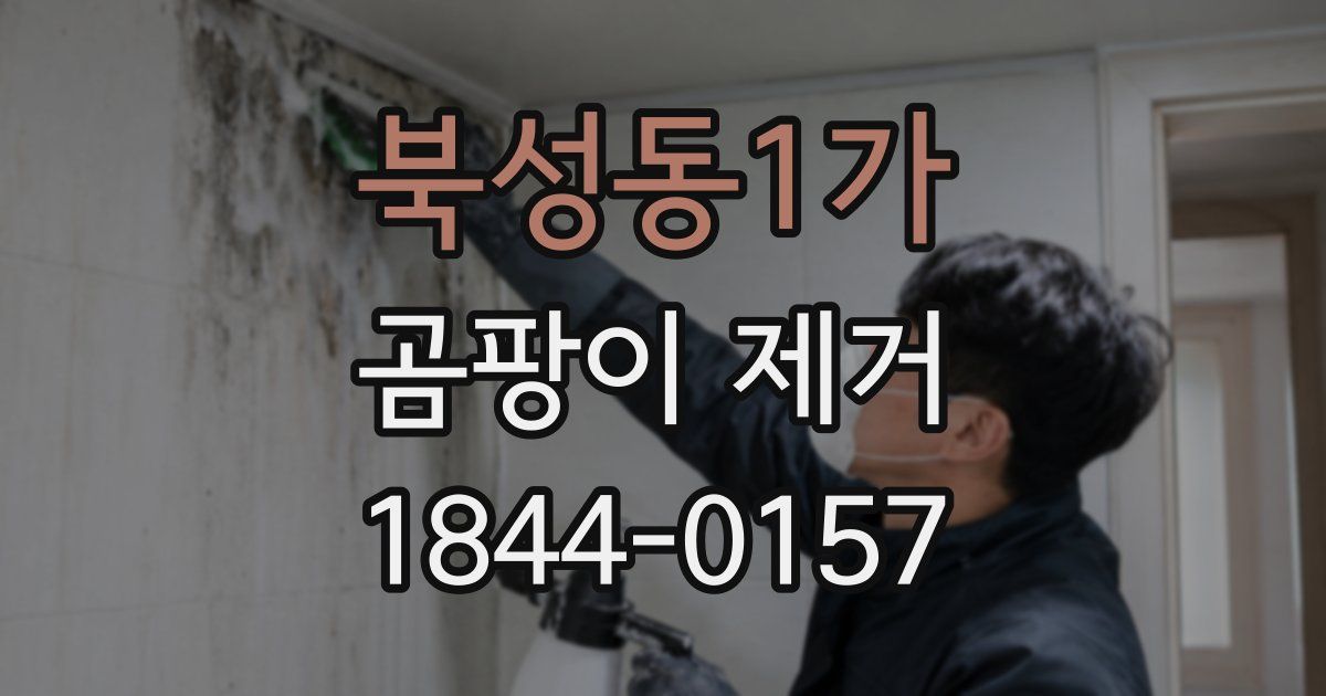 북성동1가 곰팡이 제거