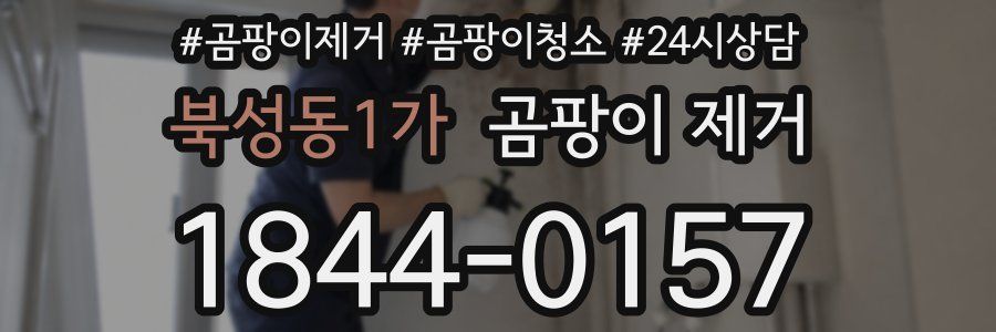북성동1가 곰팡이 제거