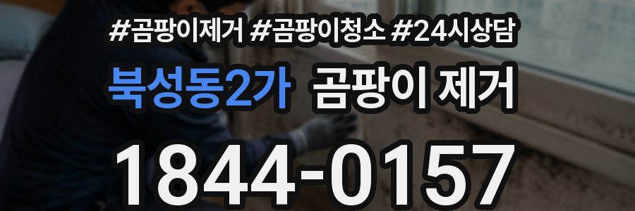 북성동2가 곰팡이 제거