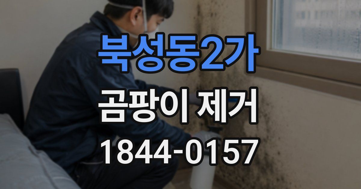 북성동2가 곰팡이 제거
