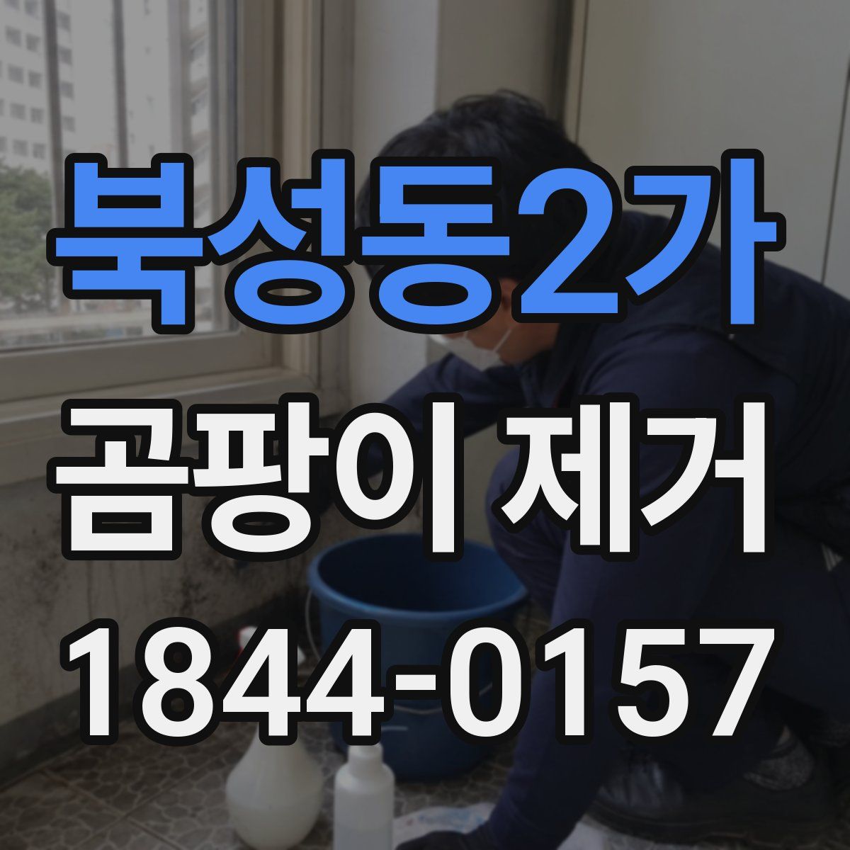북성동2가 곰팡이 제거