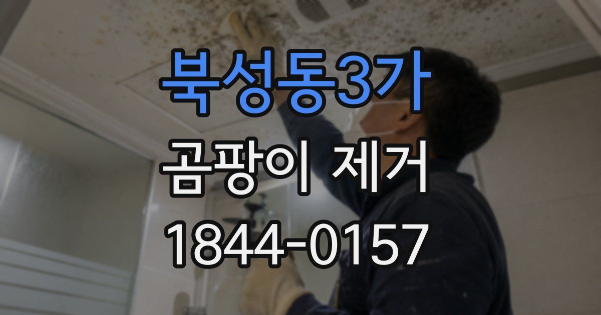 북성동3가 곰팡이 제거