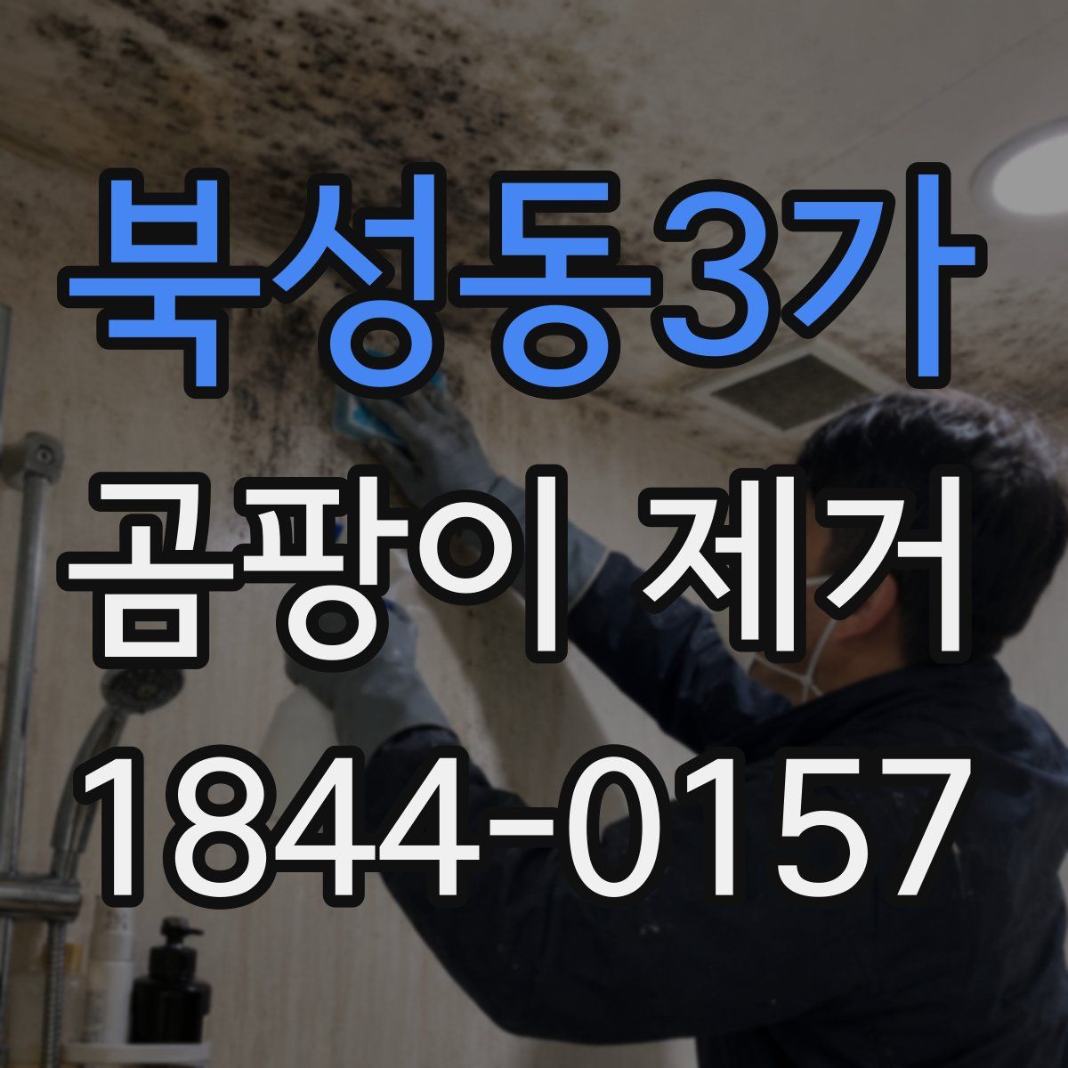 북성동3가 곰팡이 제거