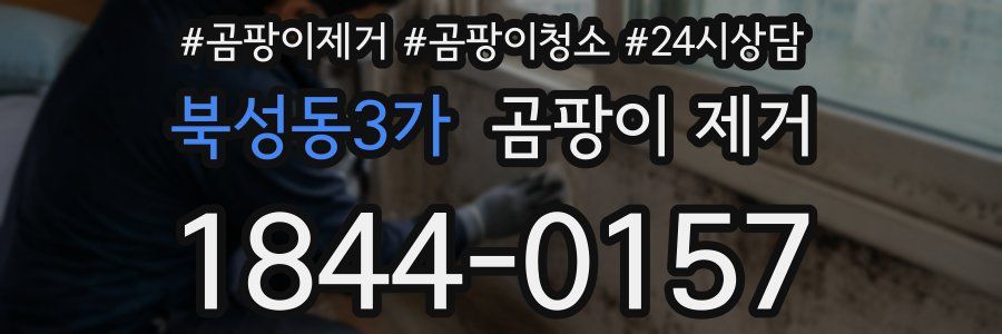 북성동3가 곰팡이 제거