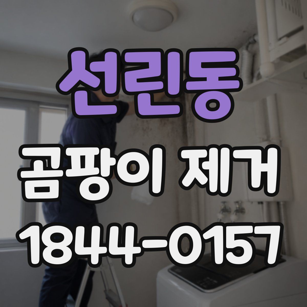 선린동 곰팡이 제거