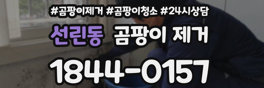 선린동 곰팡이 제거