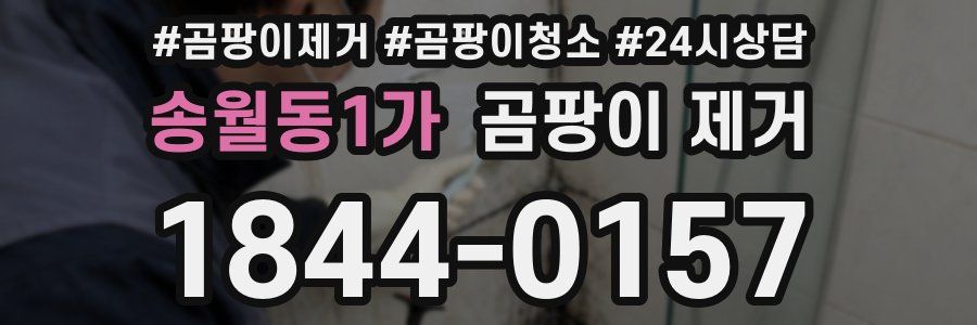 송월동1가 곰팡이 제거