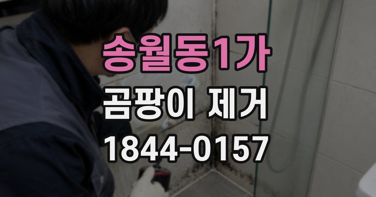 송월동1가 곰팡이 제거
