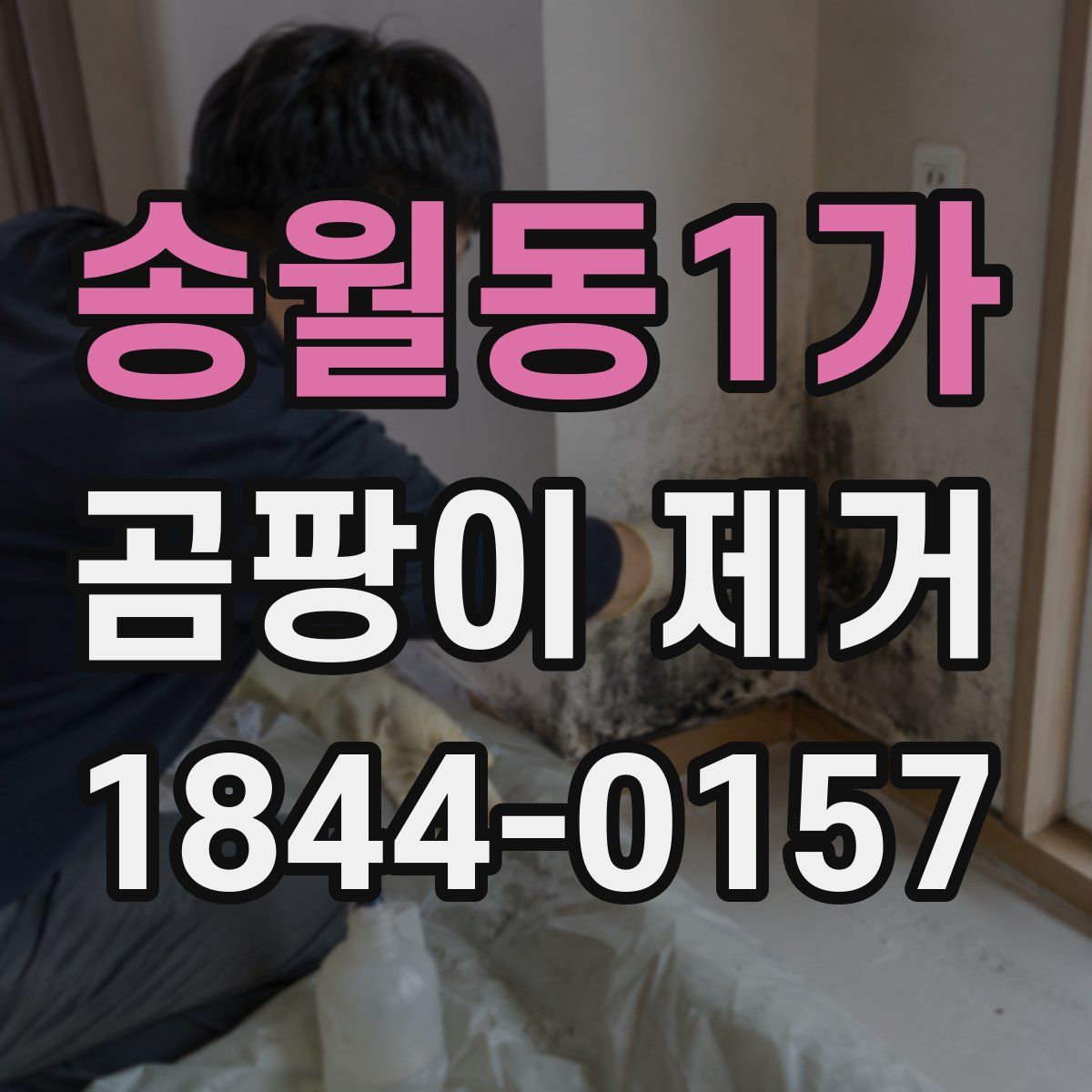 송월동1가 곰팡이 제거