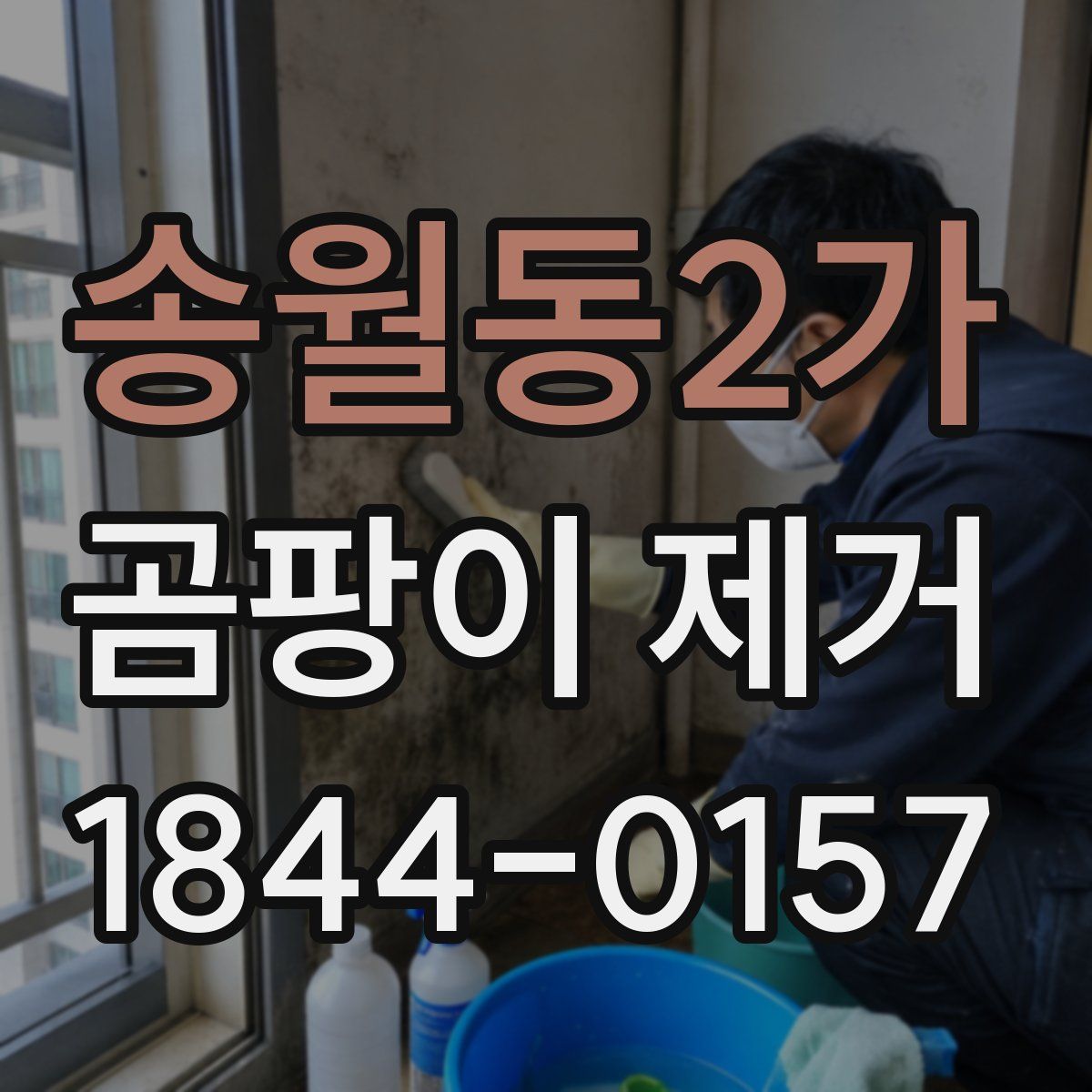 송월동2가 곰팡이 제거