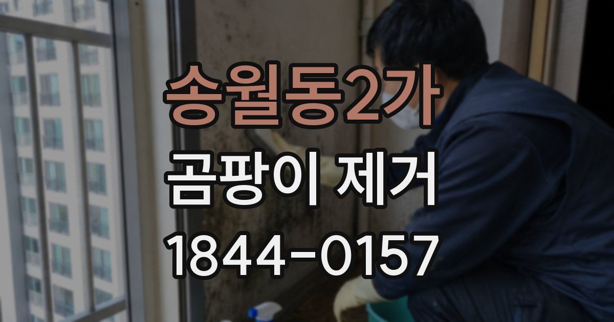 송월동2가 곰팡이 제거