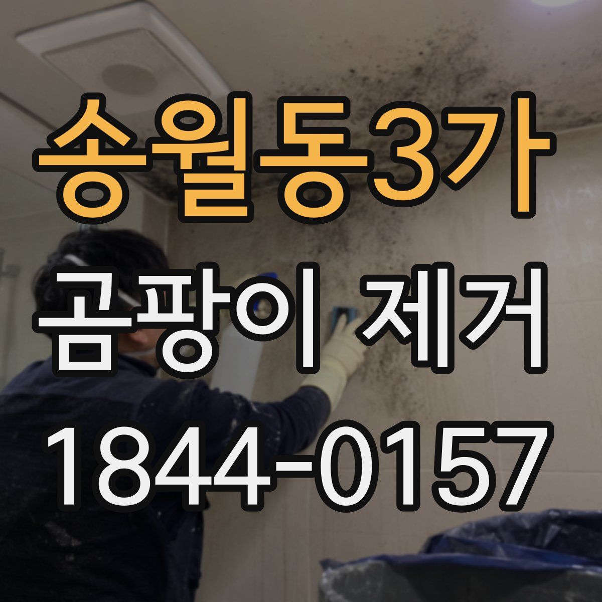 송월동3가 곰팡이 제거