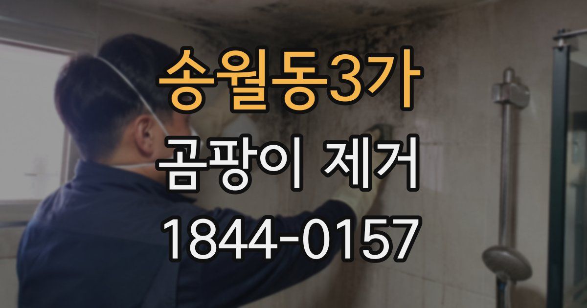 송월동3가 곰팡이 제거