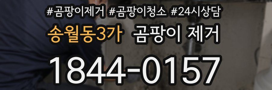송월동3가 곰팡이 제거