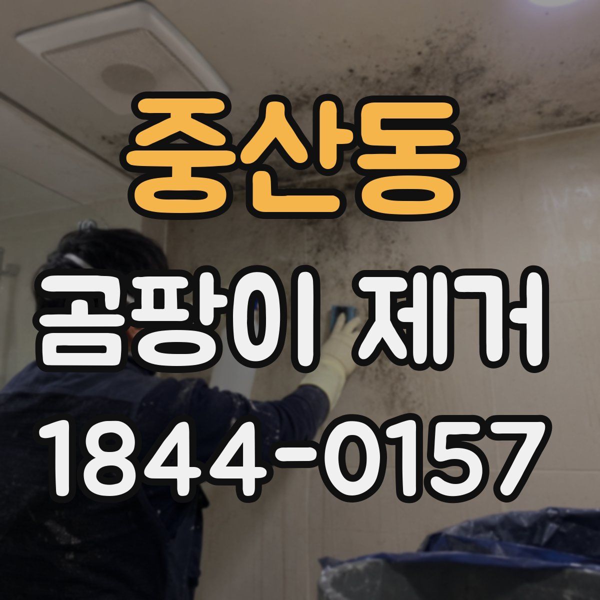 중산동 곰팡이 제거