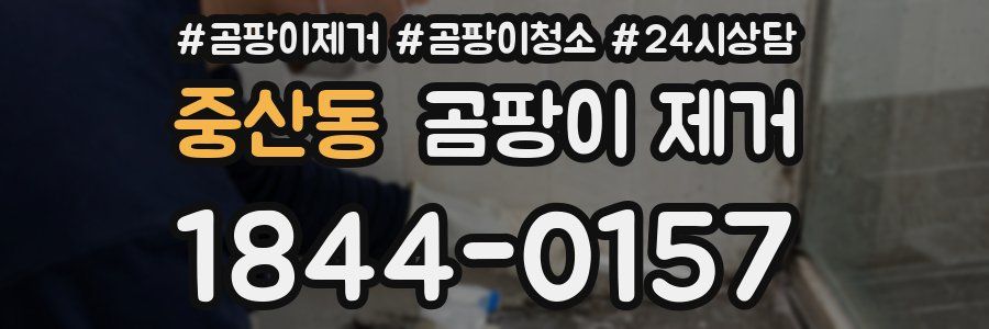 중산동 곰팡이 제거