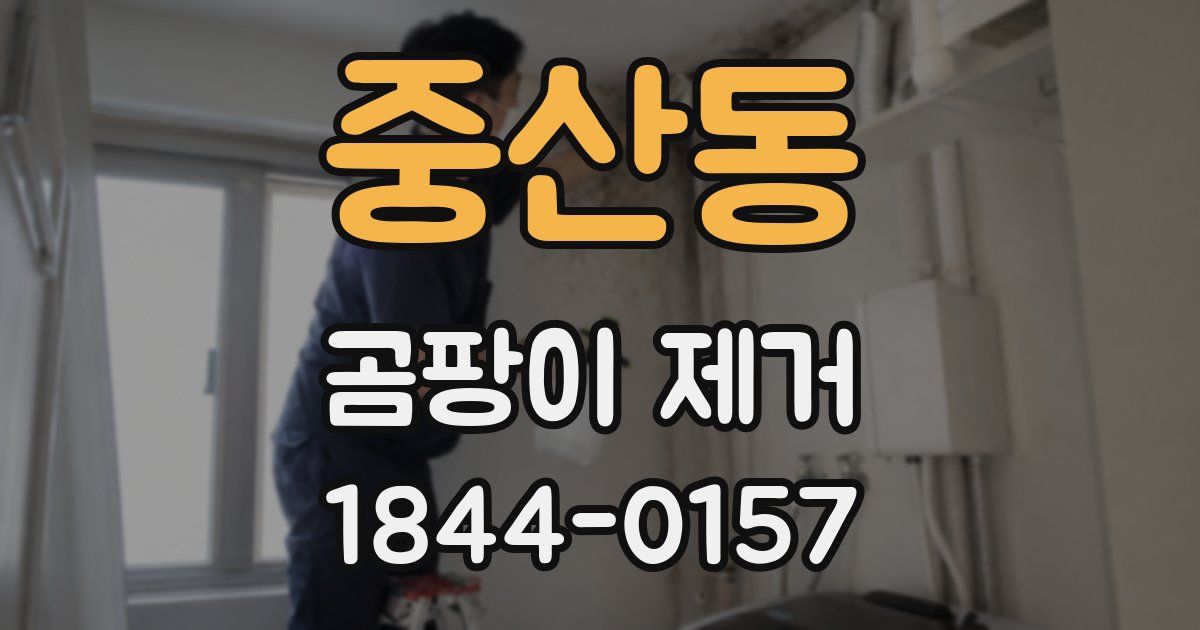 중산동 곰팡이 제거