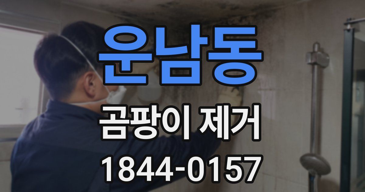 운남동 곰팡이 제거