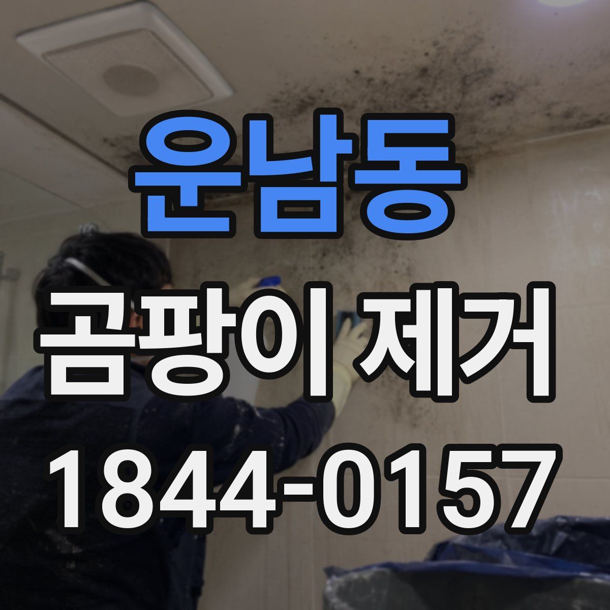 운남동 곰팡이 제거