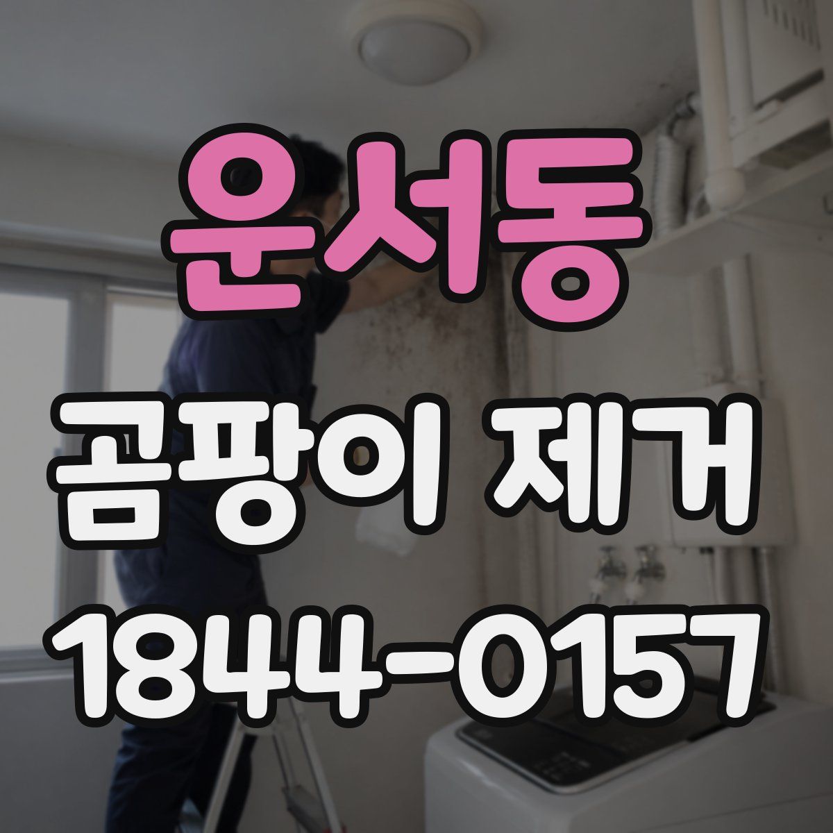운서동 곰팡이 제거