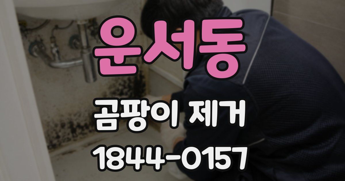 운서동 곰팡이 제거
