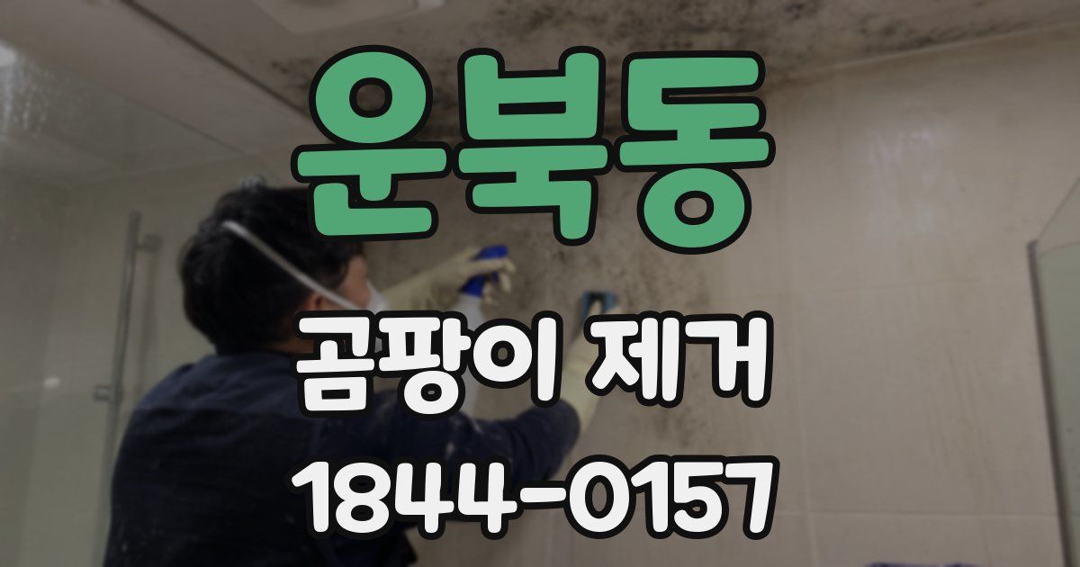 운북동 곰팡이 제거