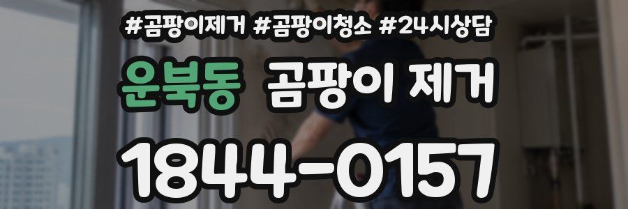 운북동 곰팡이 제거