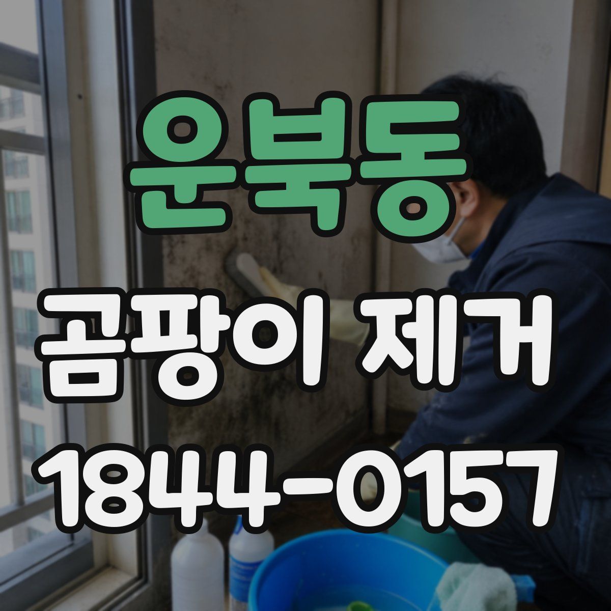 운북동 곰팡이 제거