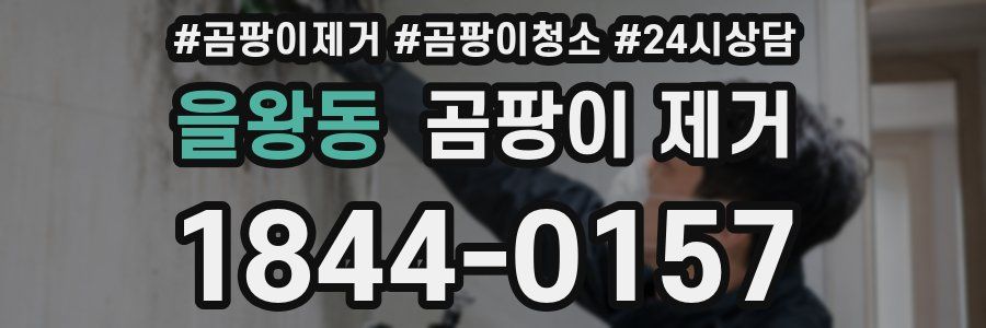 을왕동 곰팡이 제거