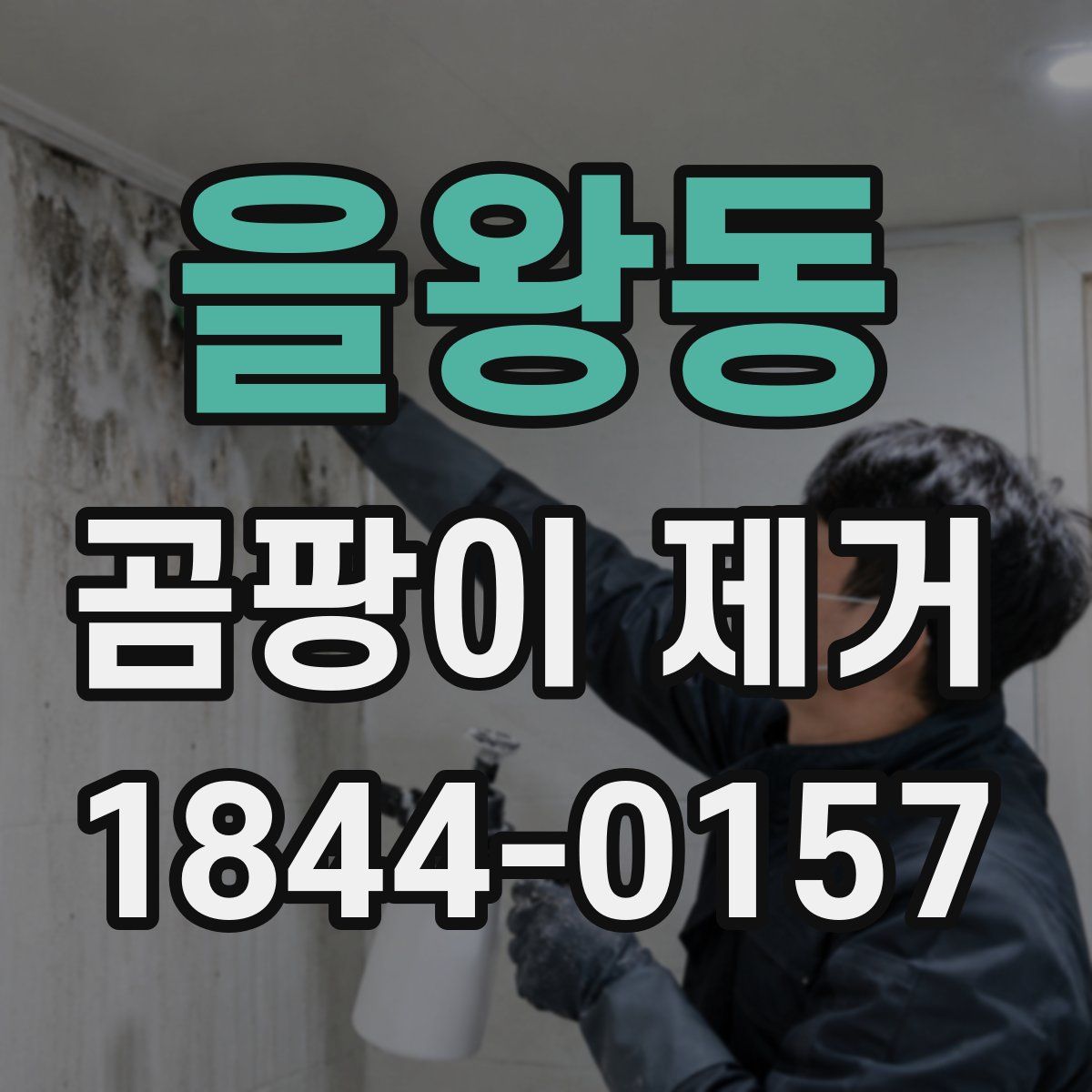 을왕동 곰팡이 제거
