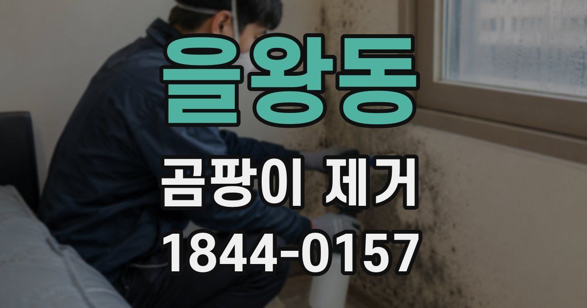 을왕동 곰팡이 제거