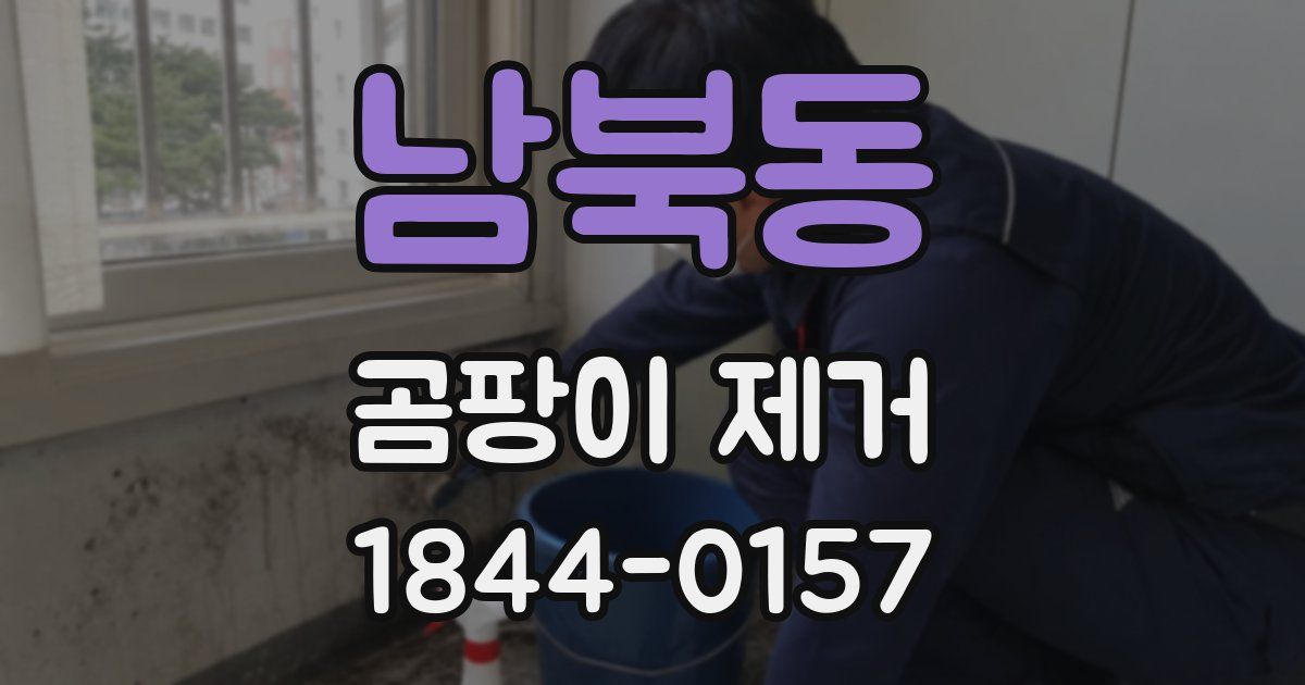 남북동 곰팡이 제거