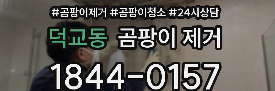 덕교동 곰팡이 제거