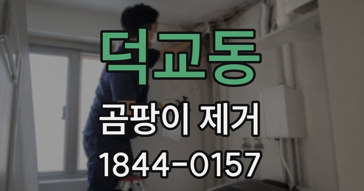 덕교동 곰팡이 제거