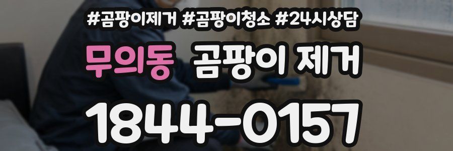무의동 곰팡이 제거