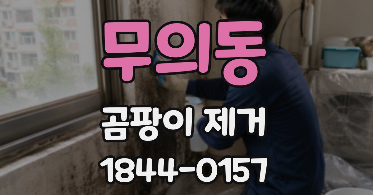 무의동 곰팡이 제거