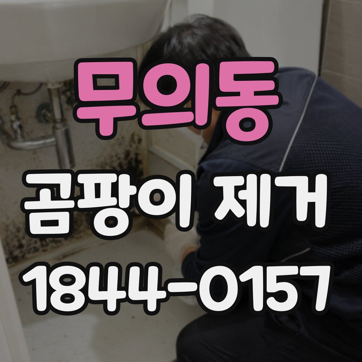 무의동 곰팡이 제거