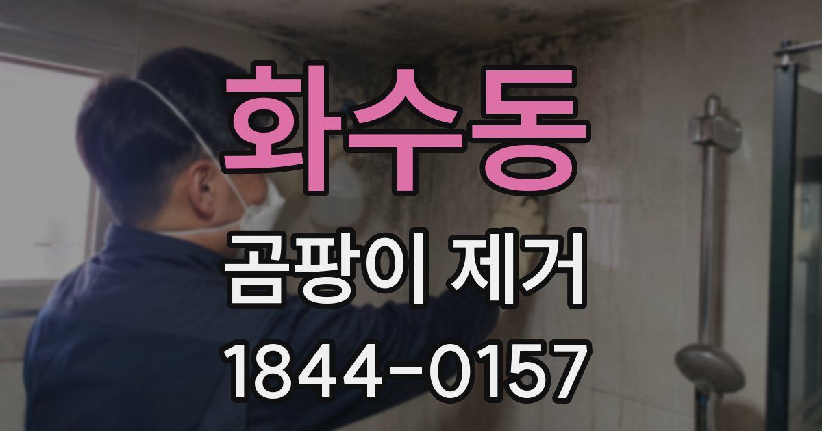 화수동 곰팡이 제거