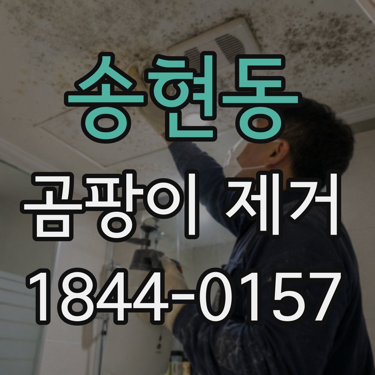 송현동 곰팡이 제거